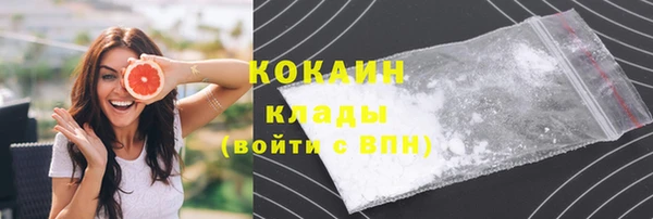 соль ск Надым